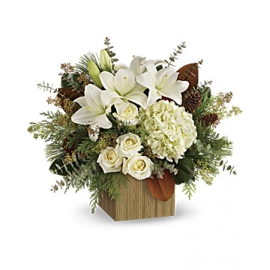 Teleflora's Snowy Bouquet